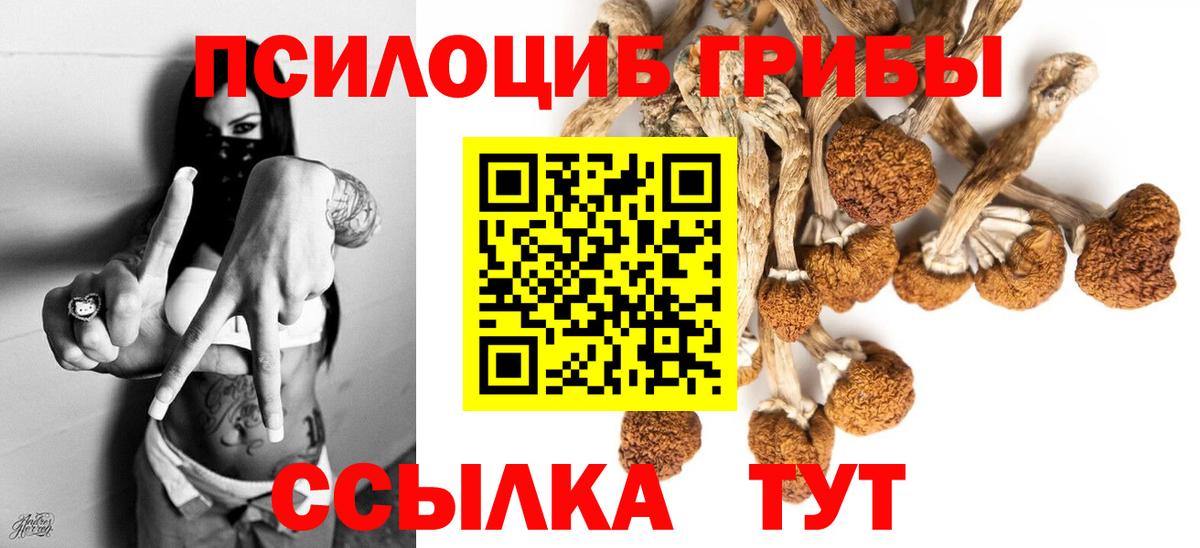 Орск  Псилоцибиновые грибы ЛСД  Вход с VPN  Галлюциногенные грибы Magic Shrooms 